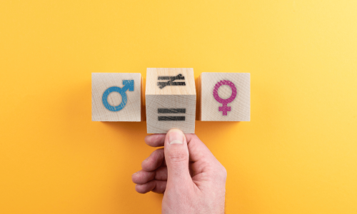 Gender and Diversity Organizational (internal) Assessments